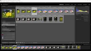 Lightroom Classic in 10 stappen  Deel 3 De interface [upl. by Francklin571]