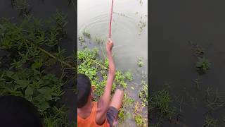 amazing boy best hook fishing video shorts fishing [upl. by Camarata439]