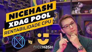 ⛏️😏 QUAL PAGA MAIS NICEHASH VS XDAG POOL  CPU MINING  COMPARATIVO DE RENTABILIDADE [upl. by Samy]