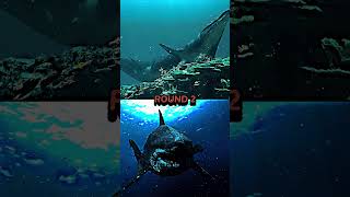 Megalodon vs Mosasaurus shorts versus paleontology debate fypシ edit marinelife [upl. by Noiwtna]