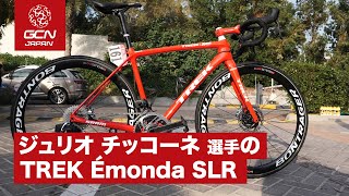 TREK Segafredo ジュリオ チッコーネ選手のTREK Émonda SLR [upl. by Arbrab667]