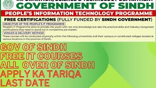 government of sindh free IT courses news trending [upl. by Herod281]