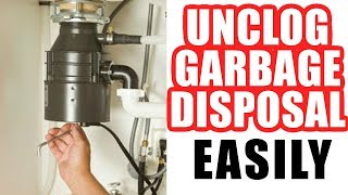 How to Unclog a Garbage Disposal Easy Step by Step [upl. by Gnilyarg790]