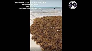 2023 Sargassum  Dominican Republic  Punta Cana  Ocean Blue amp Sand [upl. by Kablesh679]