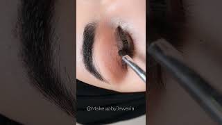 Easy Smokey Eye Makeup Tutorial for Beginners in Urdu Hindi makeuptutorial shorts [upl. by Nyhagen]