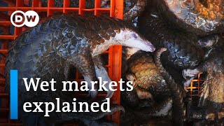 Will the coronavirus pandemic force China to close wildlife markets  DW News [upl. by Brody]