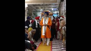 Shri Guru Granth Sahib ji Da Sukhasan Vala da darshan love guru nanak live sikhscripture shyam [upl. by Atinod672]