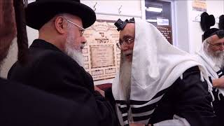 Sanz Rebbe from Israel in Boro Park [upl. by Mehalick770]