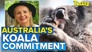 Governments historic commitment to prevent koala extinction  Today Show Australia [upl. by Catt391]