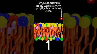 Membrana celular estructura y funcion  ¿Qué sustancias NO pasan a través de la membrana celular [upl. by Anaoj]