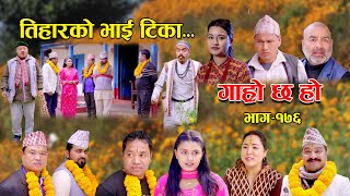 तिहारको भाई टिका II Garo Chha Ho II Episode 176 II Nov 13 2023 II Begam Nepali II Riyasha Dahal [upl. by Ykcul]