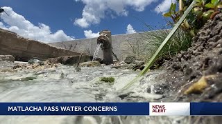 Southwest Florida water quality rated low after Tropical Storm Debbie algae blooms and fish kill [upl. by Fusuy]