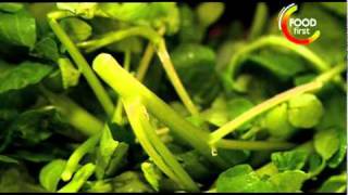 How to cook Minted Pea and Watercress Veloute  Gordon Ramsay Recipe  easy to cook [upl. by Areemas]