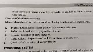 Diseases Of Urinary SystemGlomerulomephritisPyelitisAnuriaCystitiswith Vivek [upl. by Ayam643]