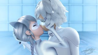 Chat Blanc and Lady Blanc  Miraculous Speededit [upl. by Naquin]