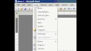 Microsoft Office Word 2003 Insert footnotes or endnotes in Single number format for the [upl. by Philana]