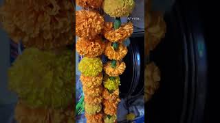 genda phool sasural genda phool [upl. by Zebadiah]