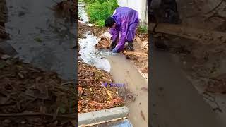 Satisfying Drainage Clearing Lots Of Debris shortvideo viral shorts viralvideo video short [upl. by Papotto]