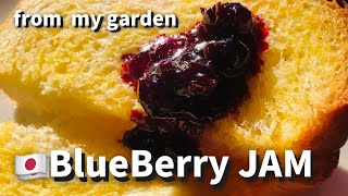 Blueberry JAM from my garden我が家の庭で採れるブルーベリー。おうちで作る贅沢ジャム。お好みの甘さに。この味を覚えたらもう買えなくなります。 [upl. by Ymia]