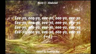 Nasty C  Ababulali   Music Video Lyrics [upl. by Huntington]