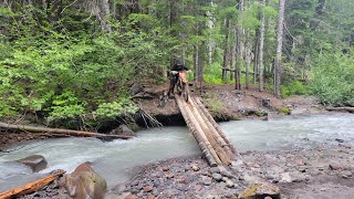 PNW  Gifford Pinchot Single Track [upl. by Fay]