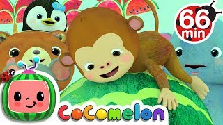 Down by the Bay  More Nursery Rhymes amp Kids Songs  CoComelon [upl. by Appledorf]