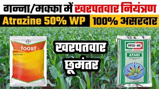 Atrazine 50 WP से खरपतवार छूमंतर  Atrazine Weedicide AZ information [upl. by Willett970]