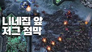 테란전 저그 개꿀 빌드 [upl. by Reinwald]