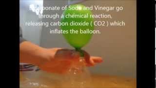 Science Experiment  Inflating a Balloon by chemical reaction [upl. by Noryt110]