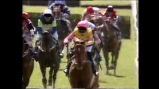 Jamie Evans wins Cup Hurdle on Bright Spot  Melbourne Cup Day 1998 [upl. by Trstram626]