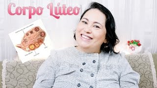 Corpo Lúteo  A Importância Dele na Gravidez [upl. by Rebme294]