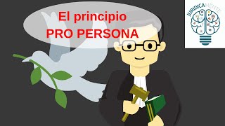 EL PRINCIPIO PRO PERSONA [upl. by Sirovart]