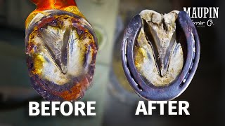 Restoring a Horse Hoof in 4K  ASMR  SATISFYING [upl. by Annoyi]