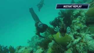 Lionfish Hunting  John Smiths Bay Bermuda 4K [upl. by Siradal813]