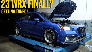 Finally Tuning my 2023 Subaru WRX [upl. by Aenej]