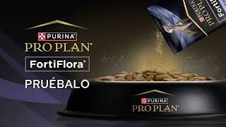 PURINA FORTIFLORA [upl. by Corotto]