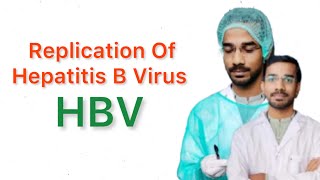 Replication of Hepatitis B Virus HBV [upl. by Ahsinnek]