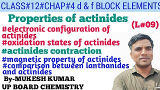 properties of actinides  properties of actinide series  class 12 actinides [upl. by Yrekaz]