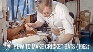 How to Make Cricket Bats Old Traditions amp Modern Methods 1962  British Pathé [upl. by Haleak]