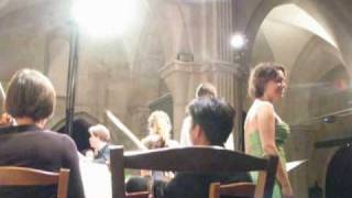 Handels Rinaldo ouverture in Beaune festival [upl. by Sualohcin]