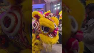 Chinese New Year 2024 Celebration In Kolkata India shorts [upl. by Eugen]