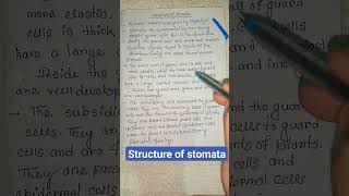 structure of stomata  stomata diagram physiology biology ytshorts shortsfeed shortstrending [upl. by Higley]