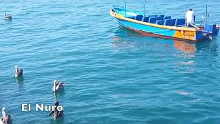 A Video Tour of Mancora Peru [upl. by Rafael]