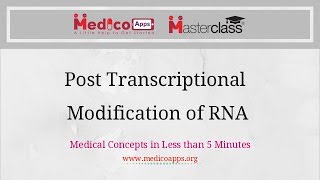 Post Transcriptional Modification of RNA [upl. by Iblehs699]