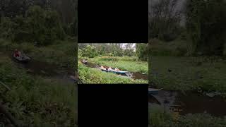 Rowing a boat in Tra Su Cajuput Forest travel trasuforest [upl. by Ashley]