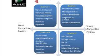 Grand Strategy Matrix [upl. by Tina]