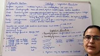 Ustilago Vegetative Structure BSc Part I Dr Vinod Kumari [upl. by Babara]