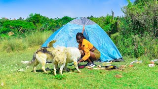 ASMR CAMPING  African girl camping and relaxing in nature ⛺ [upl. by Naujed]