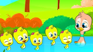 Five Little Ducks Went Out One Day  littlestarstvkidssongs Nursery Rhymes amp Kids Songs kidssongs [upl. by Cammy]