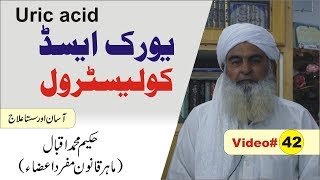 Uric acid ka Elaj ● Video 42 ● یورک ایسڈ اور کولیسٹرول ● यूरिक अम्ल कोलेस्ट्रॉल ● ھاو ٹو پاکستان [upl. by Benjamen]